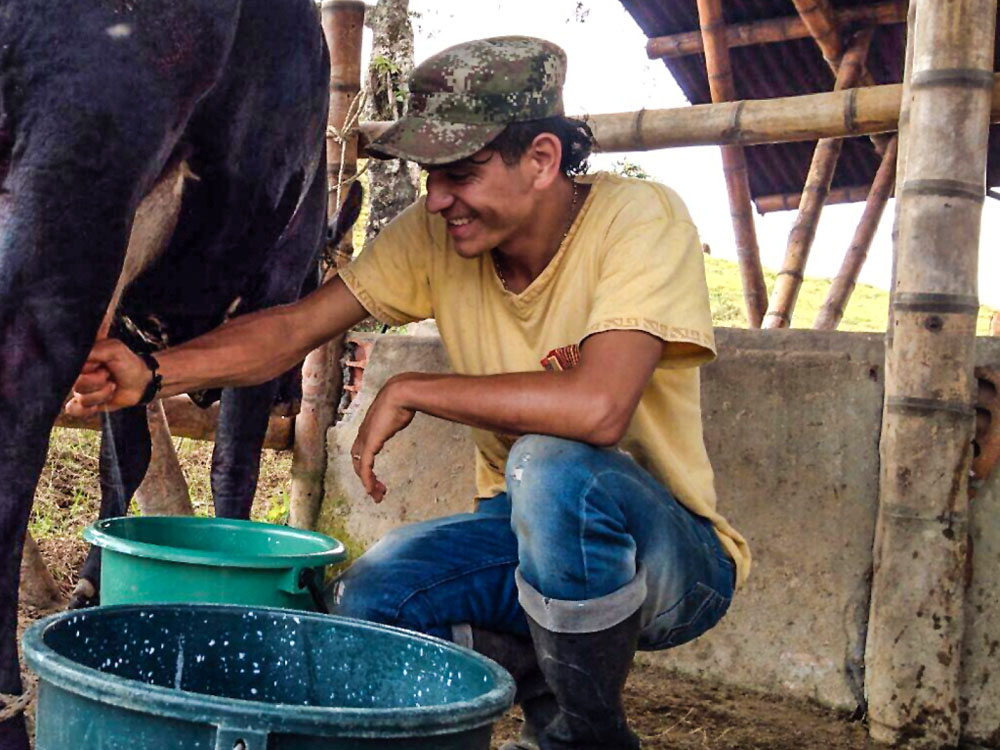 Promozione di forme associative imprenditoriali e sviluppo della filiera agroalimentare del latte - Colombia