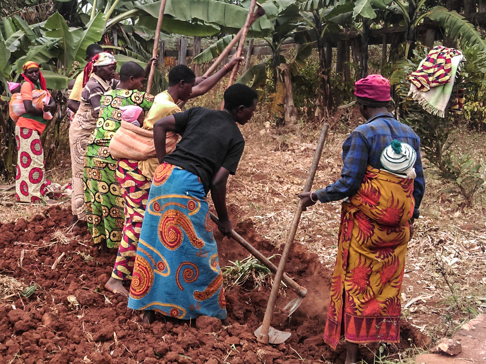 Sviluppo della cooperativa agricola femminile “Imbura Makebuko” - Burundi