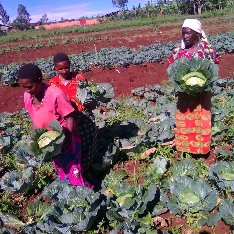burundi-1