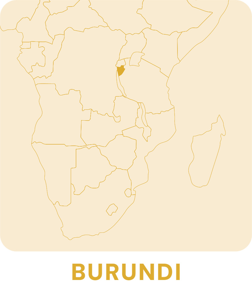 Mappe Newsletter