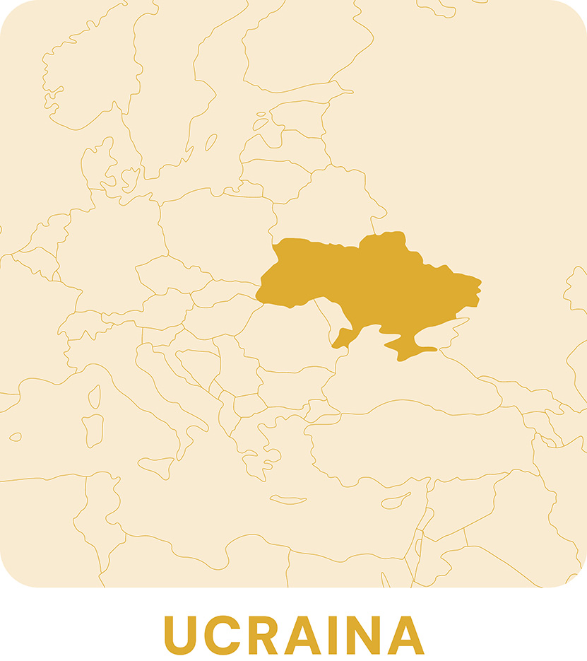 Mappe Newsletter